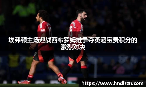 埃弗顿主场迎战西布罗姆维争夺英超宝贵积分的激烈对决